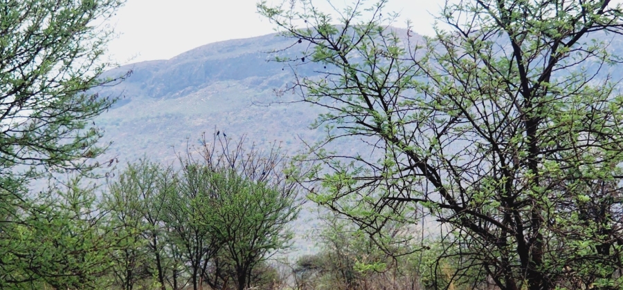  Bedroom Property for Sale in Rietfontein A H North West